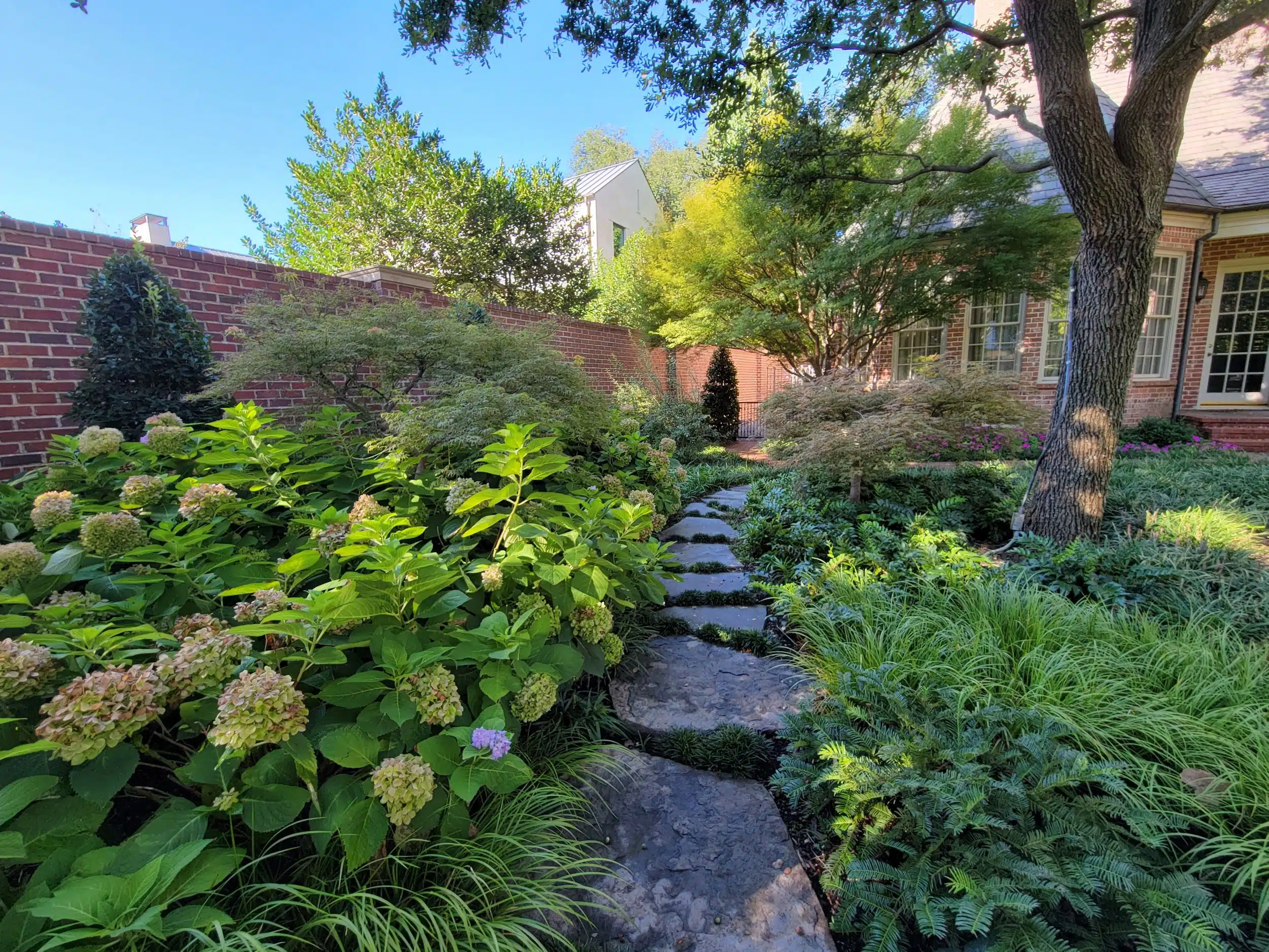 Landscape Design Fort Worth